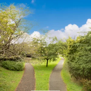 Contested vs. Uncontested Divorce