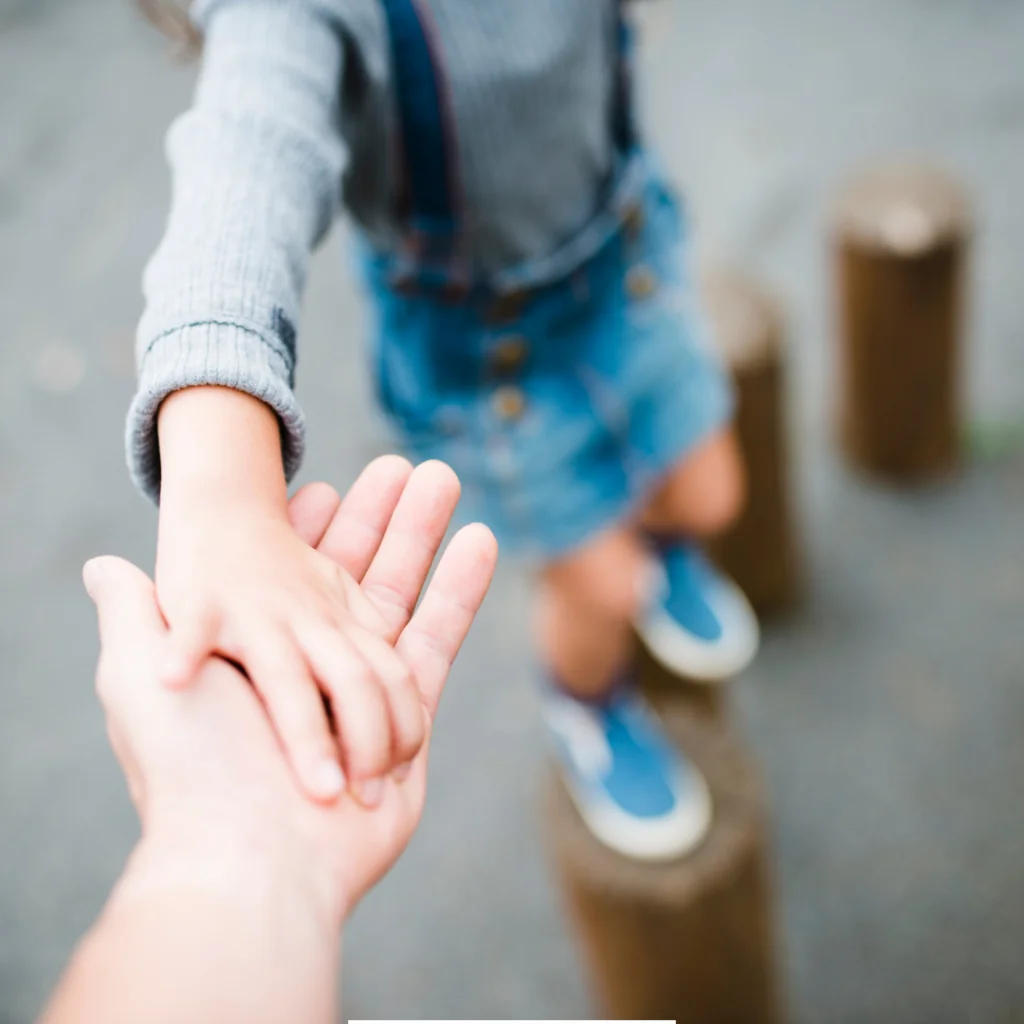 Petaluma Custody Attorneys