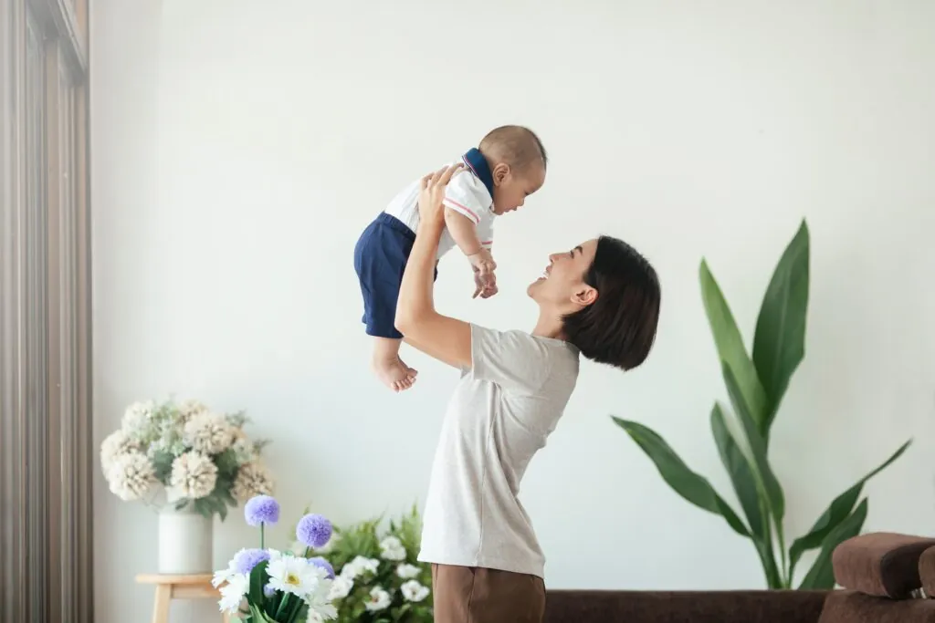 Santa Rosa Custody Attorneys 